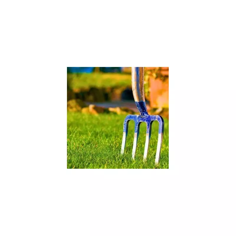 The Ultimate Lawn Care Guide: Banish Moss and Achieve Perfect Green Grass