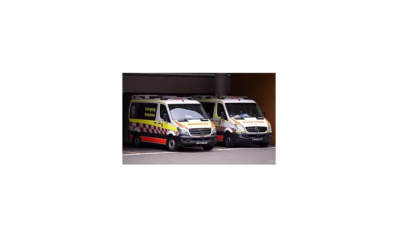 Tradie's Miraculous Survival: Impaled Through Chest by Steel Rod in Gosford Wharf Horror