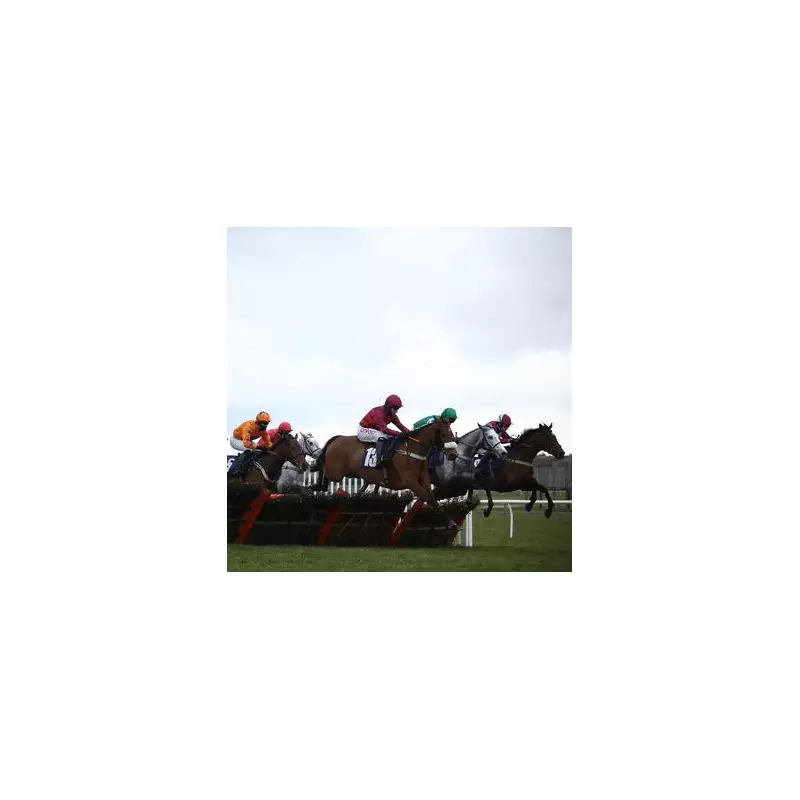 Tragedy at Wetherby as Horse Anaconda Suffers Fatal Fall in Charlie Hall Chase