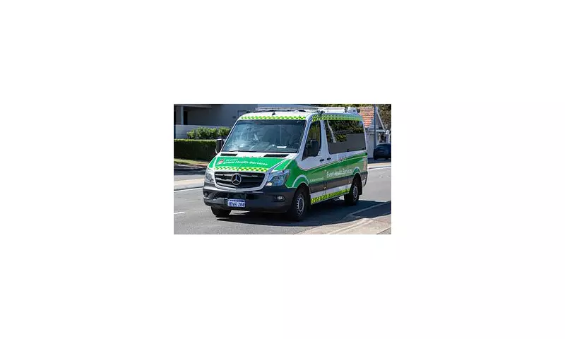 Tragedy in Oakford: Infant and Toddler Critical After Horrific Collision - Community in Shock