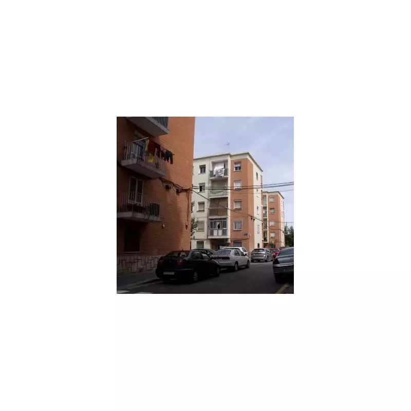 Tragic Discovery: Missing Man's Body Found Inside Beloved Family Pet Python After 15-Foot Snake Refused Food