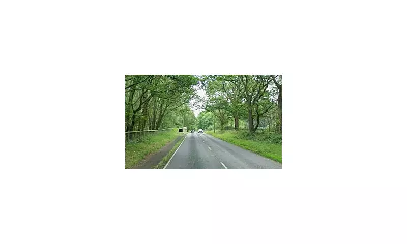 Tragic Hit-and-Run Claims Two Lives in Westminster: Suspect Arrested for Drink Driving