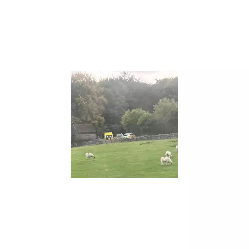 Tragic Tree Collapse Claims Man's Life During Stormy Weather in Wiltshire