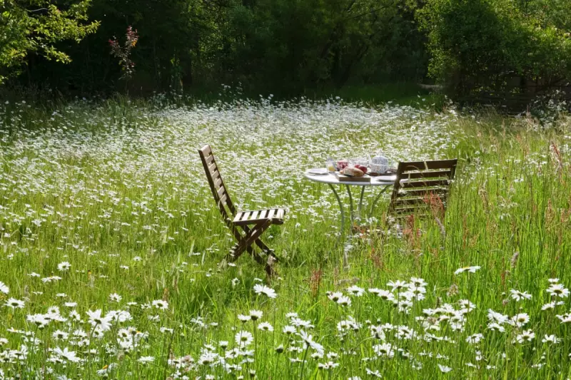 Transform Your Garden: Create a Stunning Wildlife Haven That Thrives on Neglect