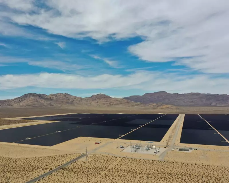 Trump Faces Legal Battle Over Bid to Scrap Major US Solar Energy Programme