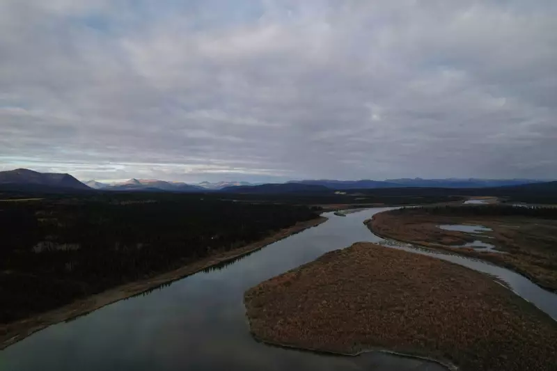 Trump's Alaska Gambit: Former President Makes Surprise Endorsement in Bid to Flip State