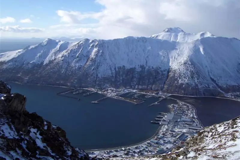 Trump's Bold Alaska Move: Road Through Protected Refuge Sparks Environmental Fury