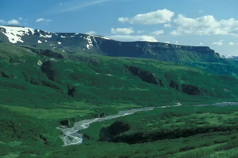 Trump's Controversial Road Plan Threatens Alaska's Pristine Wilderness