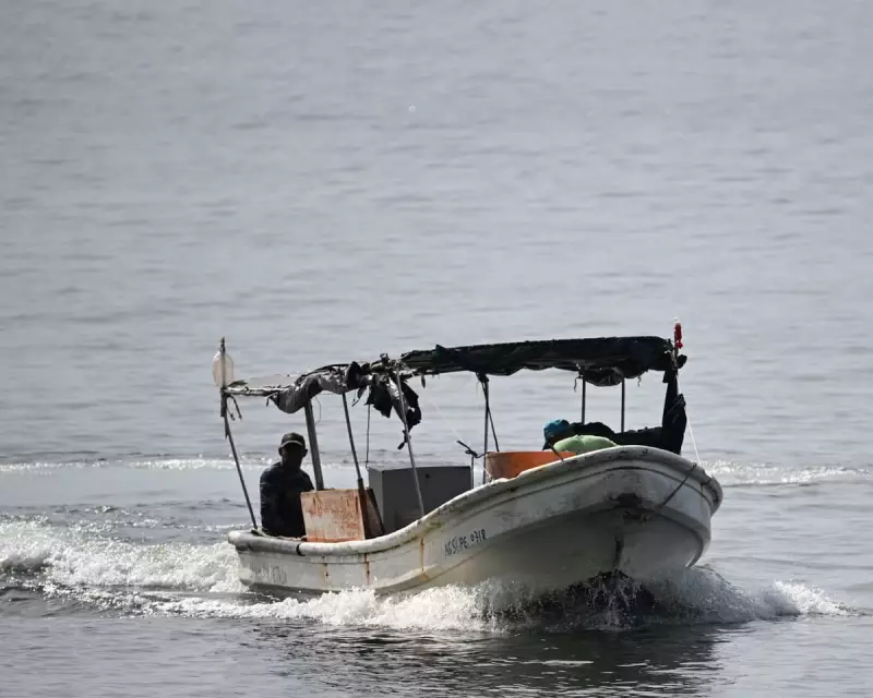 Trump's Deadly Force Proposal Against Cartels Sparks Senate Republican Division