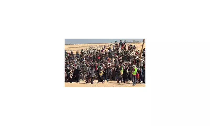 Trump's Gaza Peace Plan Revealed: Former President Proposes Controversial Two-State Solution