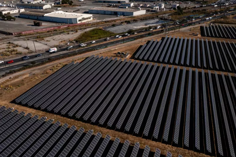 Trump's Green Energy Cuts Spark State Rebellion: Blue States Vow to Fight Back