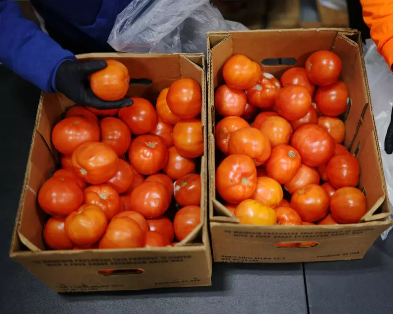Trump's SNAP Cuts Threaten Food Security for Millions as Federal Workers Face Payroll Crisis