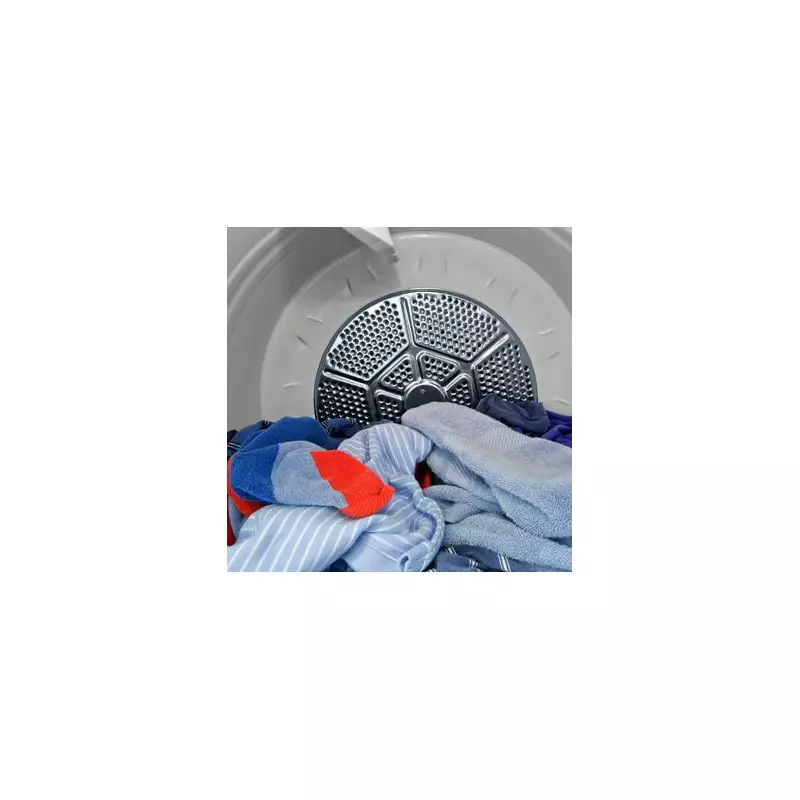 Tumble Dryer Secrets: The 10p Hack That Will Revolutionise Your Laundry Days