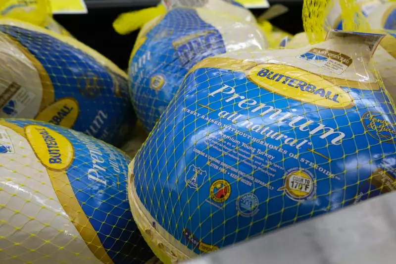 Turkey Prices Set to Soar This Christmas as Bird Flu Devastates UK Flocks