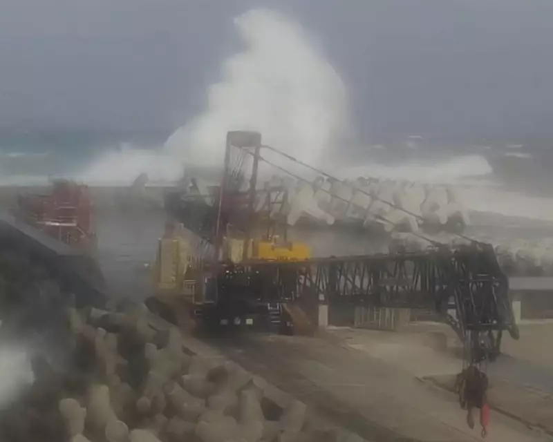 Twin Typhoons Threaten Japan: Nakri and Halong Bring Extreme Weather to Izu Islands