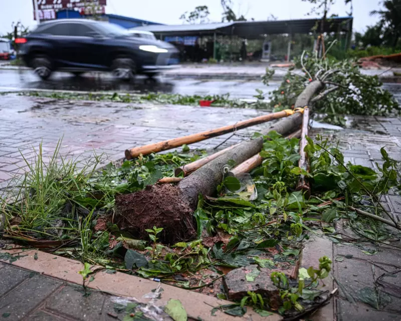 Typhoon Matmo Batters Southern China: Millions Without Power as Storm Unleashes Fury