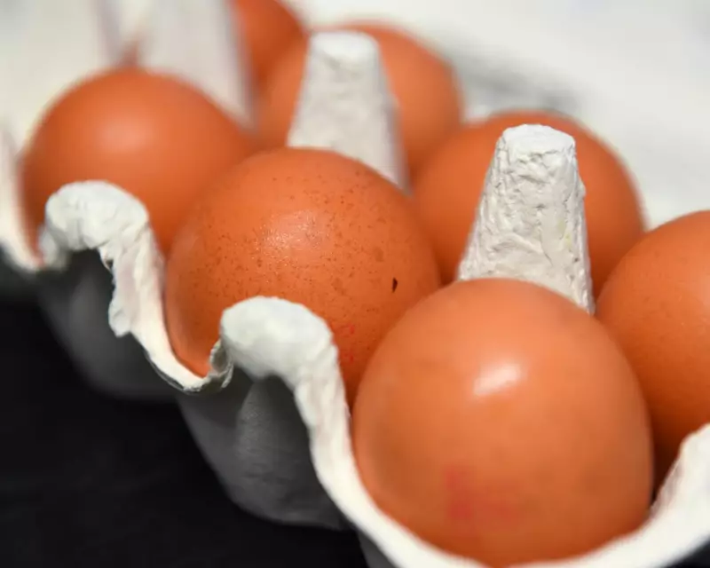 UK Supermarkets Face Backlash Over Imported Caged Hen Eggs from Ukraine and Poland