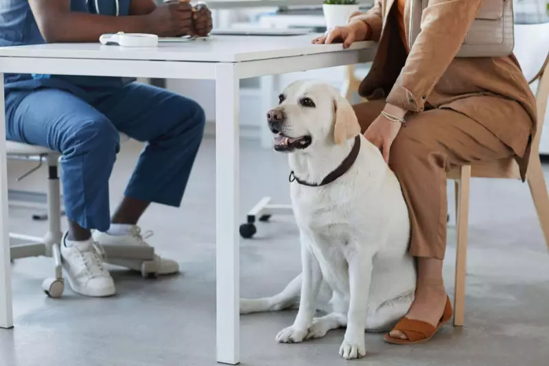 UK Vets Face Major CMA Crackdown: Billions at Stake in Competition Shake-up