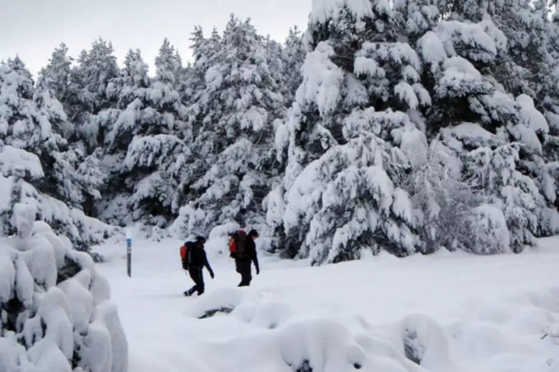 UK Weather Alert: Met Office Issues Snow Warnings as Arctic Blast Set to Freeze Britain