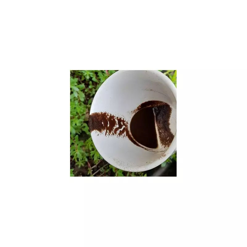 Unlock Your Garden's Potential This October: The Coffee Grounds Secret Every Gardener Needs