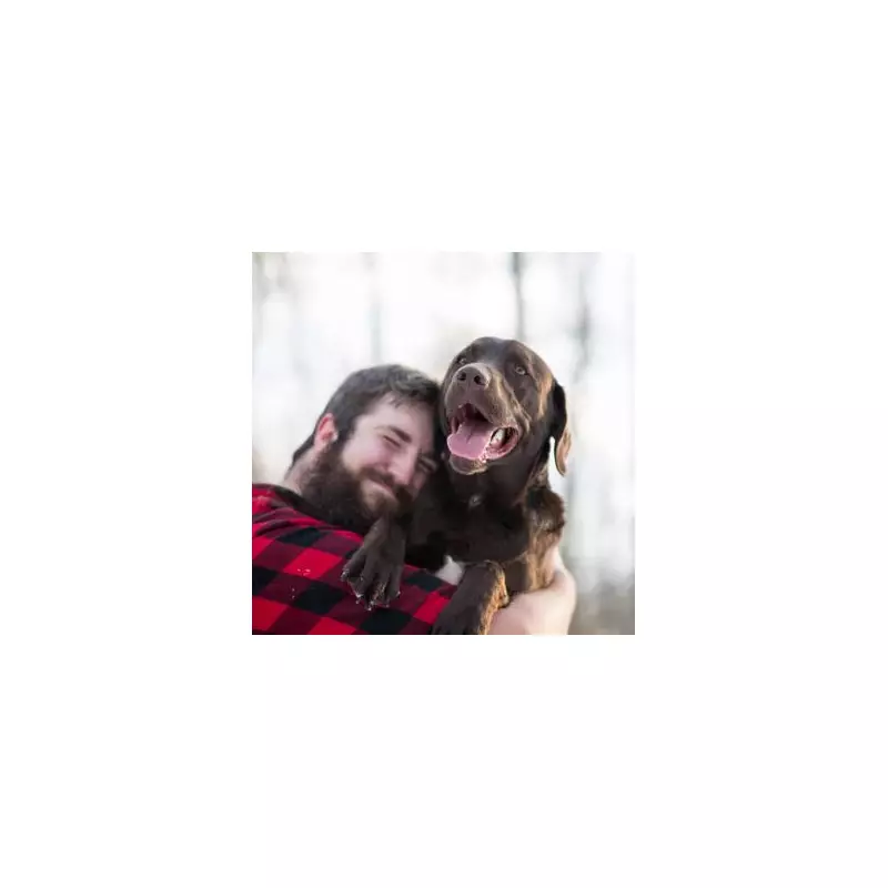 Vet Reveals 5 Critical Signs Your Cat Is Crying For Help - Don't Ignore These Symptoms