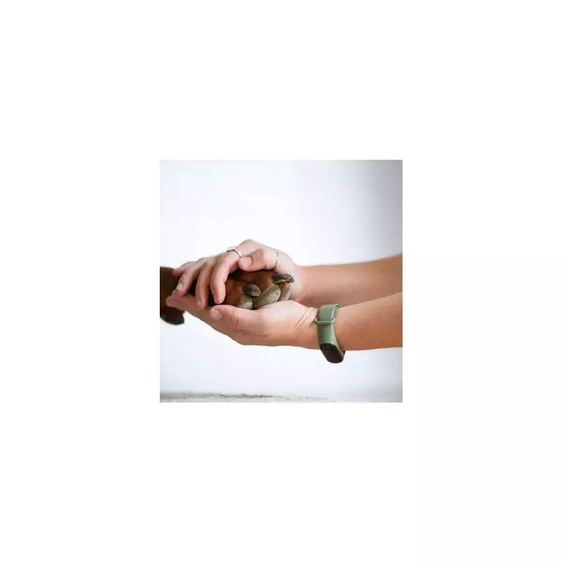 Vet Reveals 5 Dog Breeds He'd Never Own - Is Your Pet on the List?