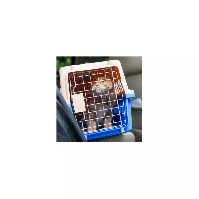 Vet's Urgent Warning: This Common Pet Food Mistake Could Be Deadly For Your Dog