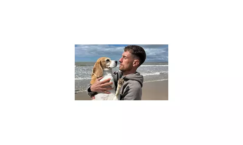 Wales Star Aaron Ramsey's Desperate Plea After Beloved Dog Halo Vanishes in Mexico