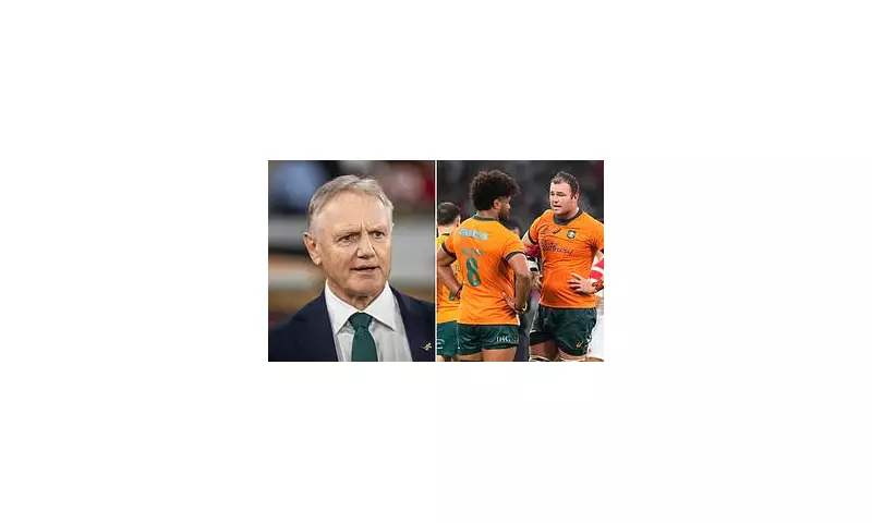 Wallabies Coach Joe Schmidt Refuses to Blame Fixture List for England Defeat Despite Clear Disadvantage