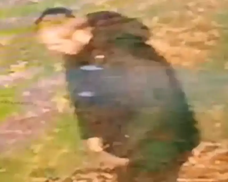 Walsall Hate Crime Hunt: Police Release CCTV in Racially Aggravated Attack Probe