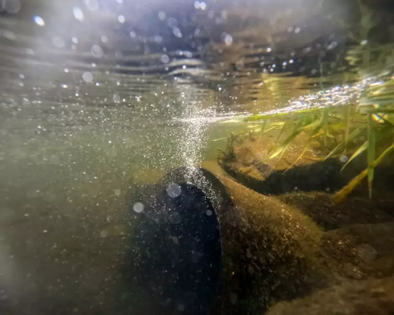 Water Bills Set to Surge: Ofwat Greenlights Major Price Hikes for Millions of UK Households