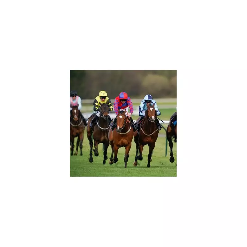 Wednesday's Winning Wagers: Racing Experts Reveal Their Top Tips Across UK Tracks