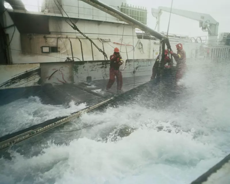 Weekend Reading Guide: From Australia's 'Nightmare Storm' to Marcia Langton's Abbott Critique