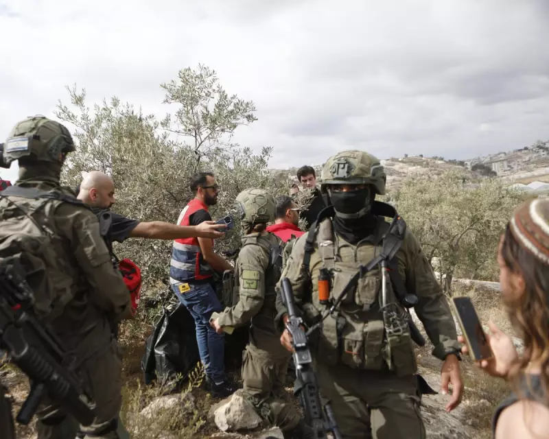 West Bank Impunity: How Palestinian Farmers Face Systematic Land Theft