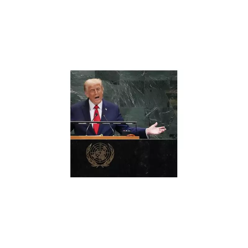 White House Condemns Nobel Committee for Putin Nomination in Diplomatic Explosion