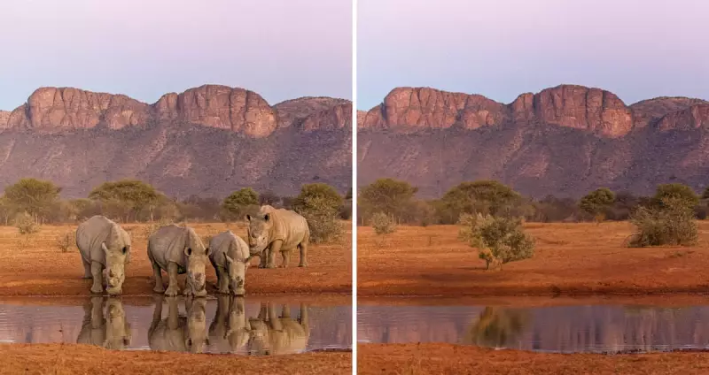 Wildlife Photographer's Stark Warning: Our Landscapes Are Becoming Empty of Animals
