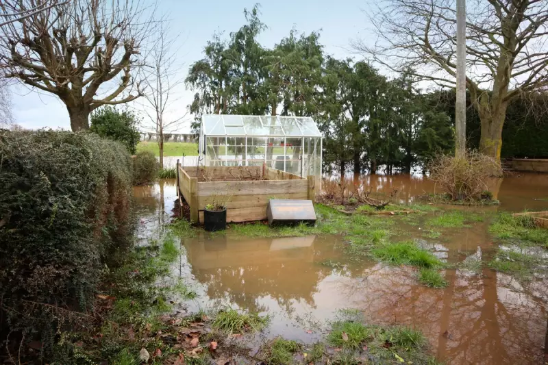 Winter Garden SOS: Expert Tips to Rescue Your Flooded Outdoor Space