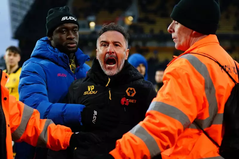 Wolves' Transfer Blitz: Jørgen Strand Larsen Signs as Vítor Pereira Deal Collapses
