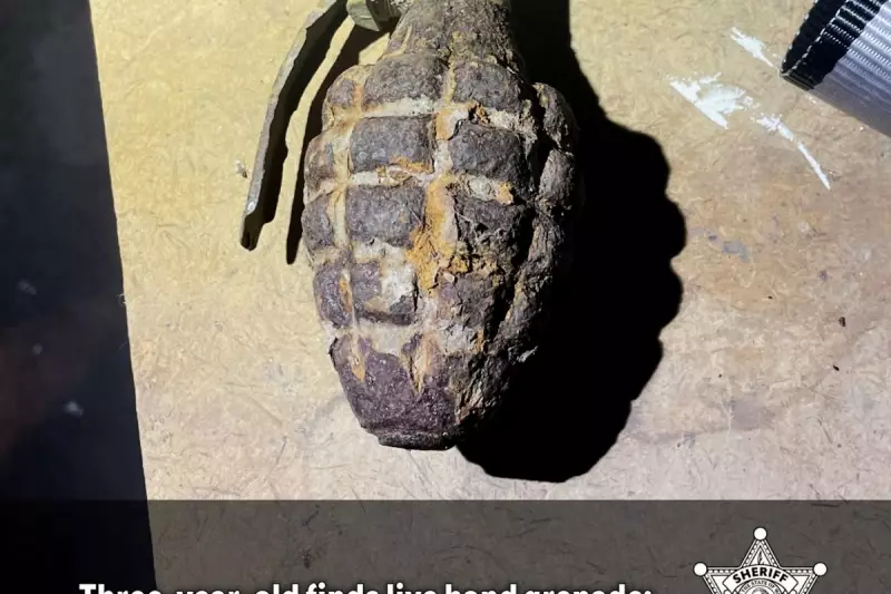 WWII Live Grenade Discovery Halts Washington Construction Site