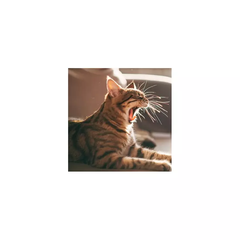 'You Need to Lose Weight' - My Boyfriend's Shocking Demand That Ended Our Relationship