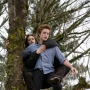 20 Years On: Can You Still Recognise These Harry Potter Stars From The Philosopher's Stone?