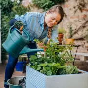 5 Must-Plant Flowers That Will Transform Your British Garden Into a Butterfly Paradise