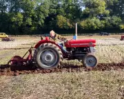 A Wild Morning at the Ploughing Match: Nature's Unexpected Spectacle