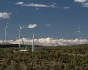 AI-Generated Fake Research Exposed: Queensland Anti-Renewables Group Cited Non-Existent Papers