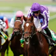 Aidan O'Brien Smashes World Record With Sensational 2000 Guineas Triumph