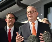 Albanese Defies Treasury Advice: Labour's Controversial Tax Hike Plan Revealed