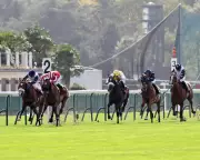 Arc de Triomphe Dreams Drowned: Japanese Contenders Falter on Rain-Soaked Paris Turf