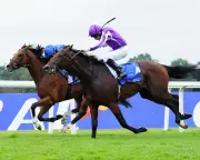 Ascot's Grand Finale: Epic Showdown Looms in Champion Stakes Climax