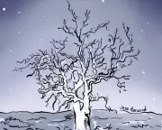 Australia's Ghostly Gums: The Haunting Halloween Trees Captivating Britain