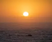 Australia's Weather Crisis: Record Heat Scorches NSW and QLD as Destructive Winds Batter Melbourne